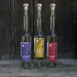 Vitalhof Roithinger 公寓