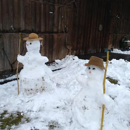 Vitalhof Roithinger アパート *