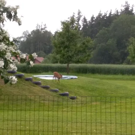 Vitalhof Roithinger