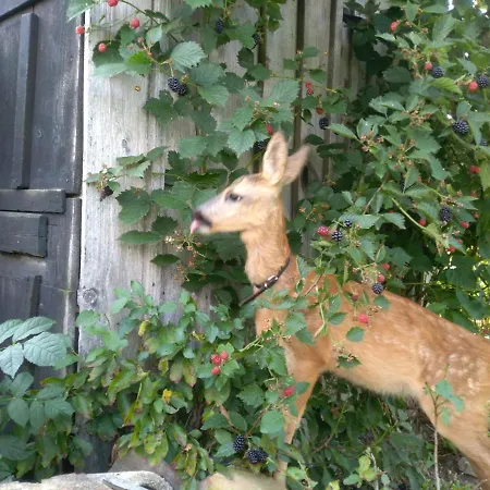 Vitalhof Roithinger * グリースキルヘン