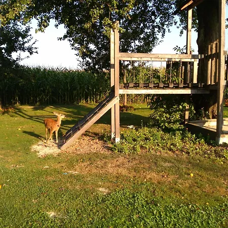 Vitalhof Roithinger グリースキルヘン