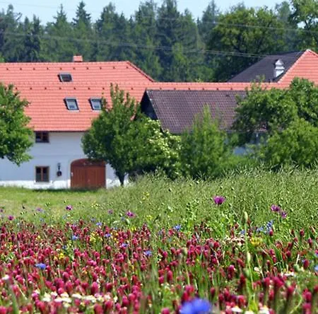 Vitalhof Roithinger Appartement