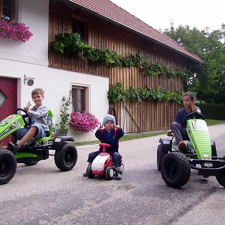 Vitalhof Roithinger アパート *