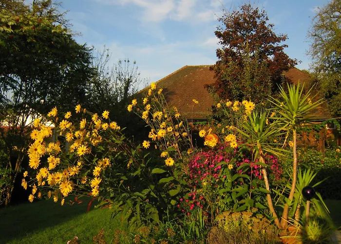 Vitalhof Roithinger * Grieskirchen