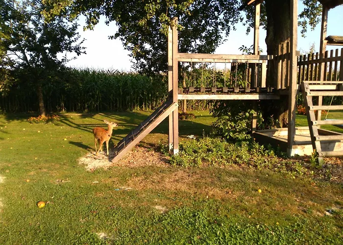 Vitalhof Roithinger Grieskirchen