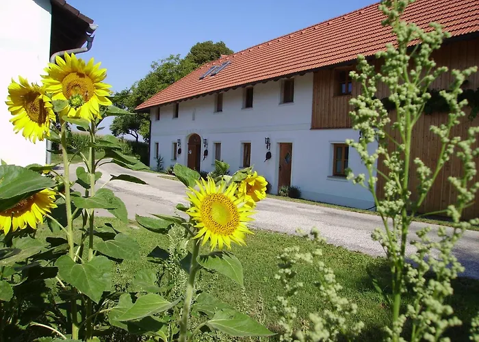 Apartamento Vitalhof Roithinger