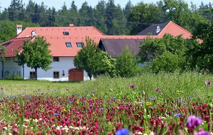 Vitalhof Roithinger Apartamento