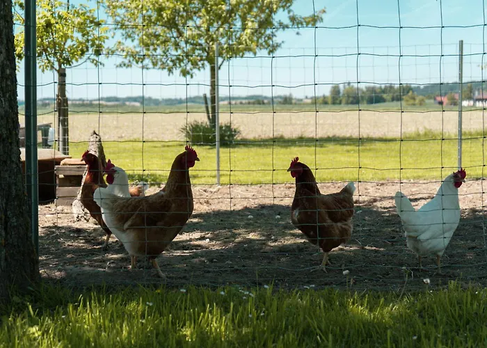 Apartment Vitalhof Roithinger Grieskirchen