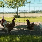 דירה Vitalhof Roithinger גריסקירכן