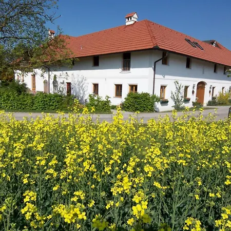 Vitalhof Roithinger Apartament