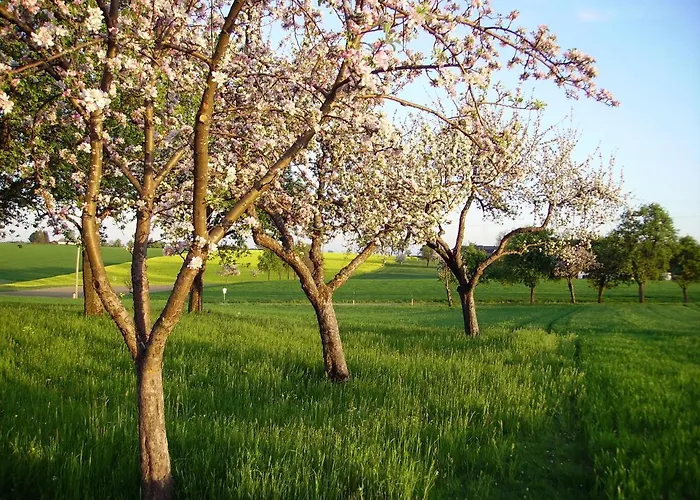 Vitalhof Roithinger Daire *